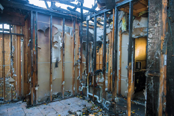 Professional Soot Removal technician working in Woodville, OH