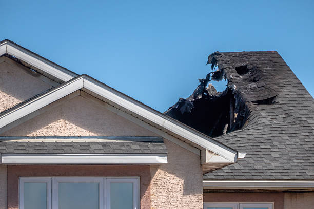 Top rated local Soot Removal specialists in Woodville, OH